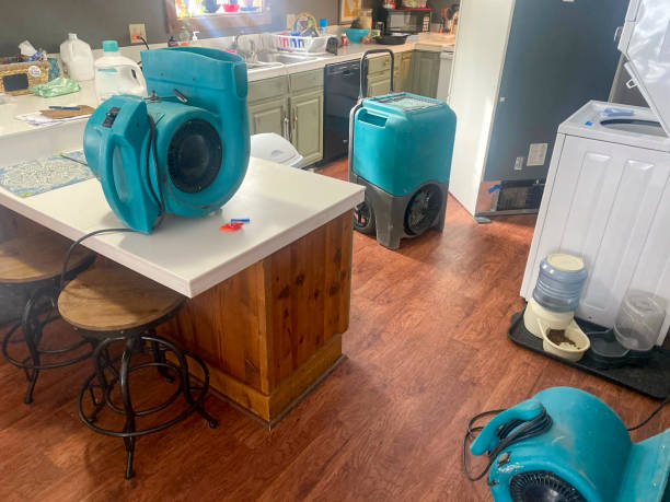 Best Residential water damage restoration  in Castle Dale, UT