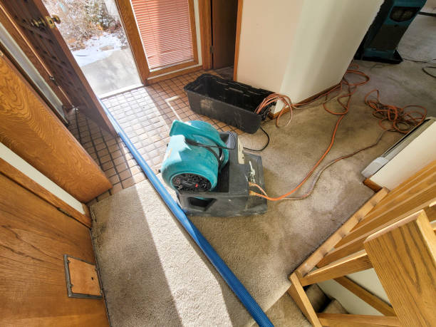 Best Sewage cleanup and water damage restoration  in Castle Dale, UT