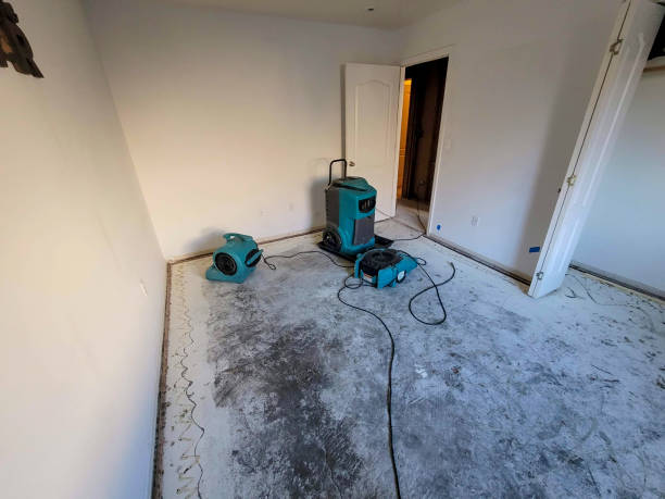 Best Emergency water extraction  in Castle Dale, UT