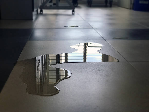 Water damage restoration insurance claims in Castle Dale, UT