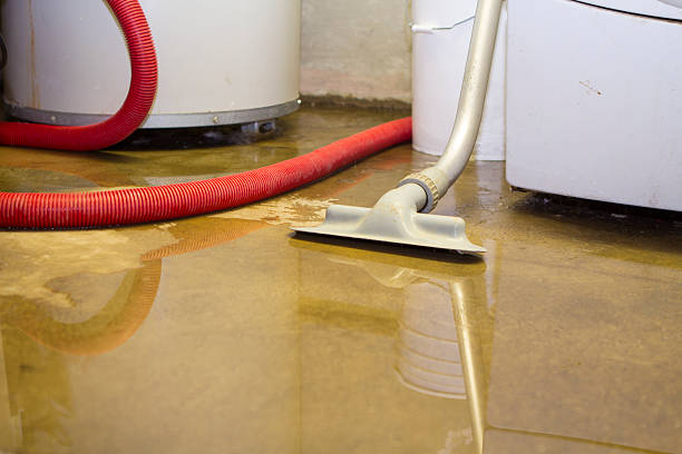 Best Professional water damage repair  in Castle Dale, UT