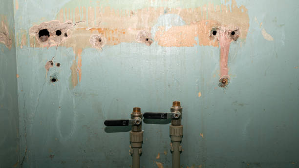 Best Fire Damage Restoration  in Castle Dale, UT