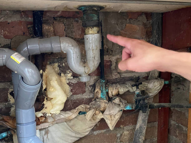 Best Mold removal after water damage  in Castle Dale, UT