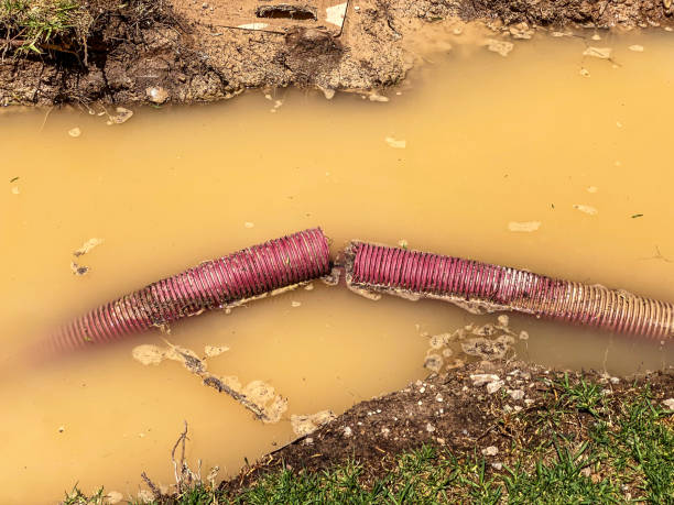 Best Local water damage restoration  in Castle Dale, UT